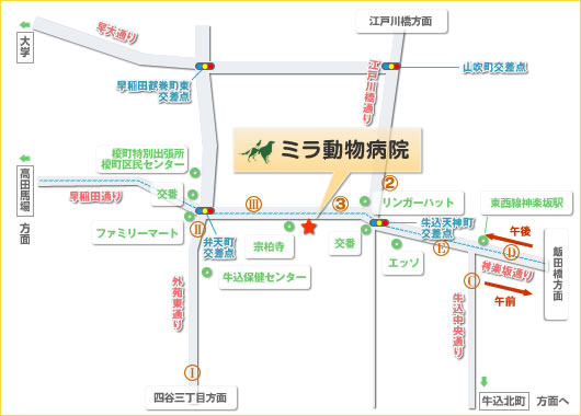 ミラ動物病院の地図